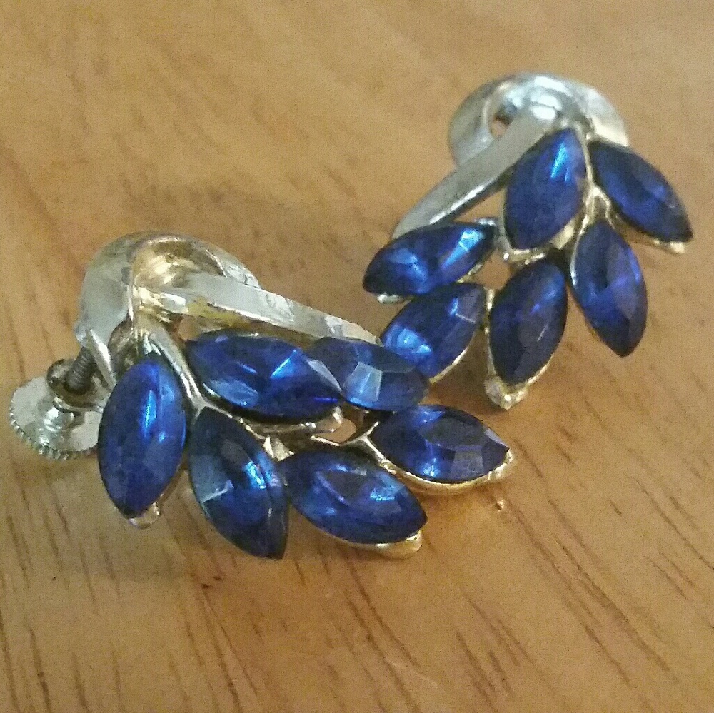 Vintage Cobalt Blue Spray Screw Back Earrings